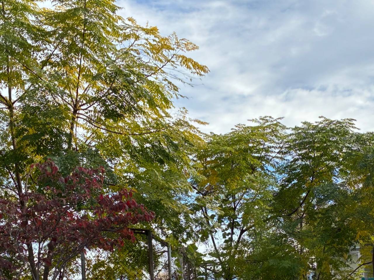 第42回記念CMO・書融会代表展